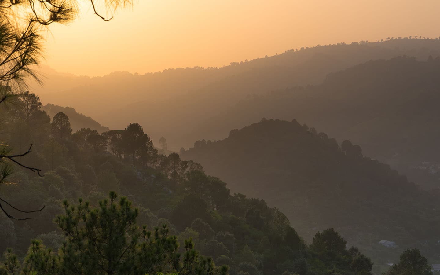 Image of the Ayubia National Park  5