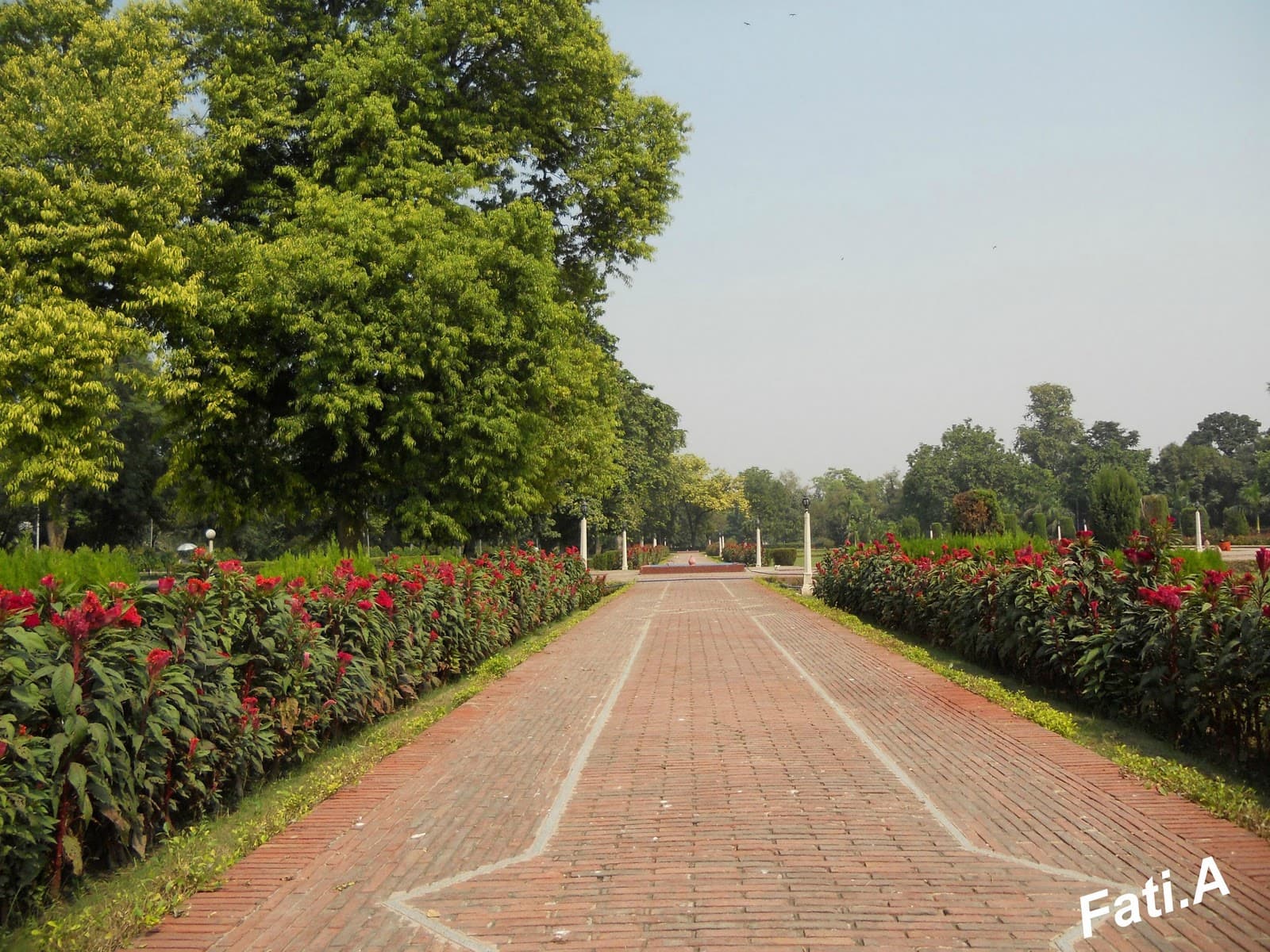 Image of the Bagh e Jinnah  9