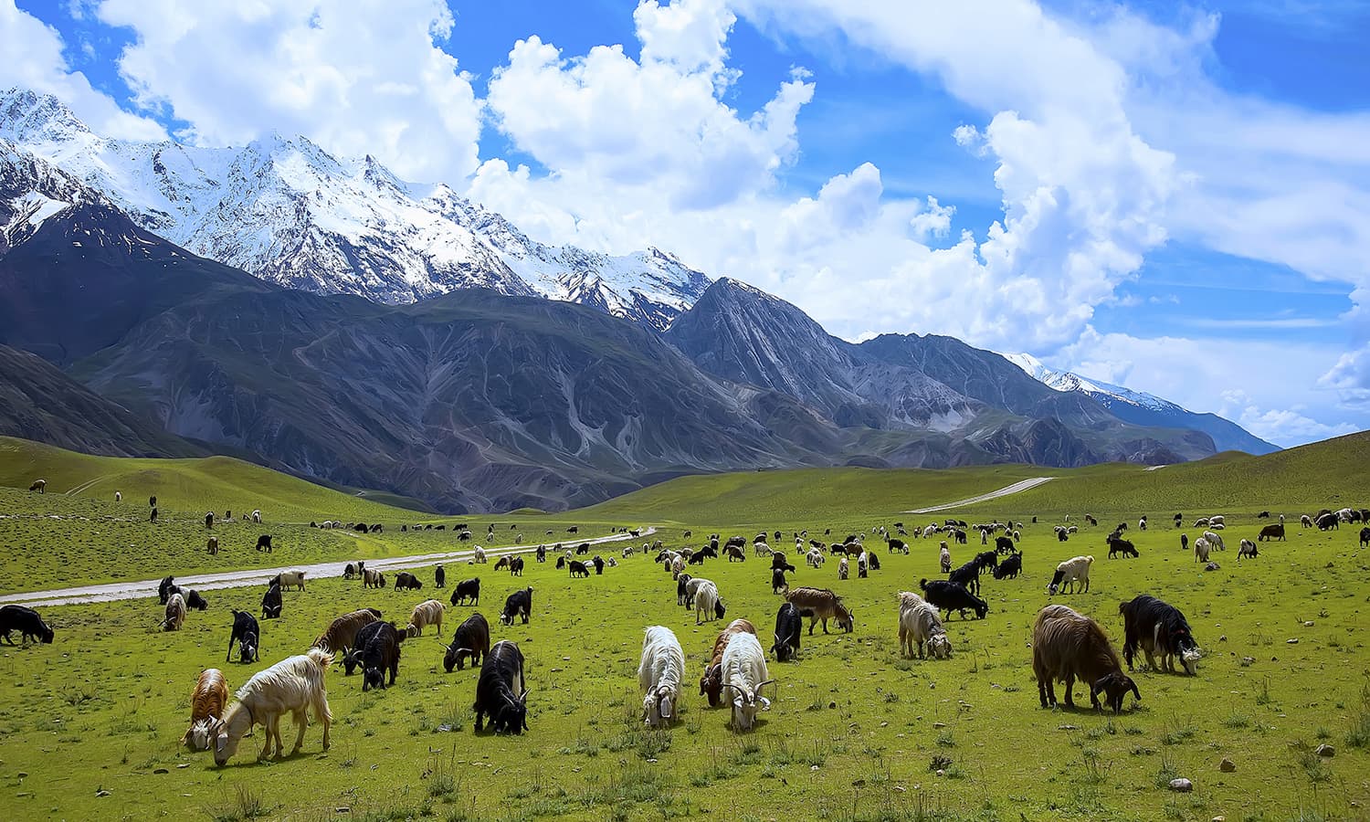 Image of the Chitral National Park  2