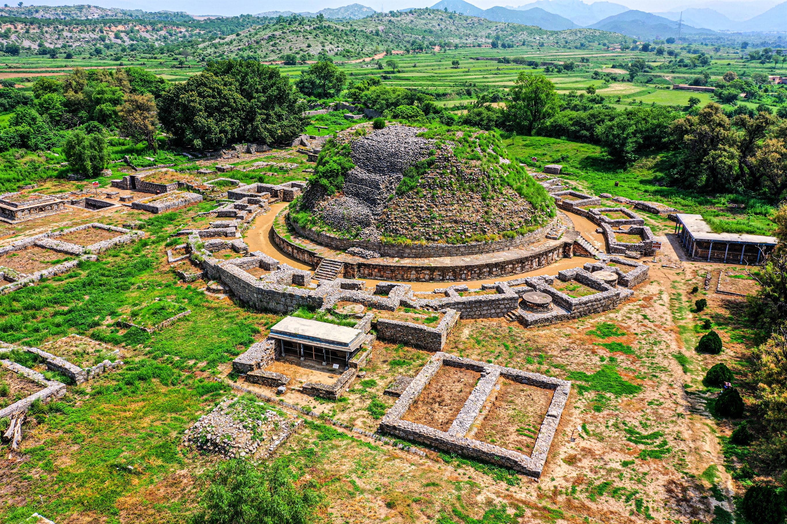 Dharmarajika Stupa