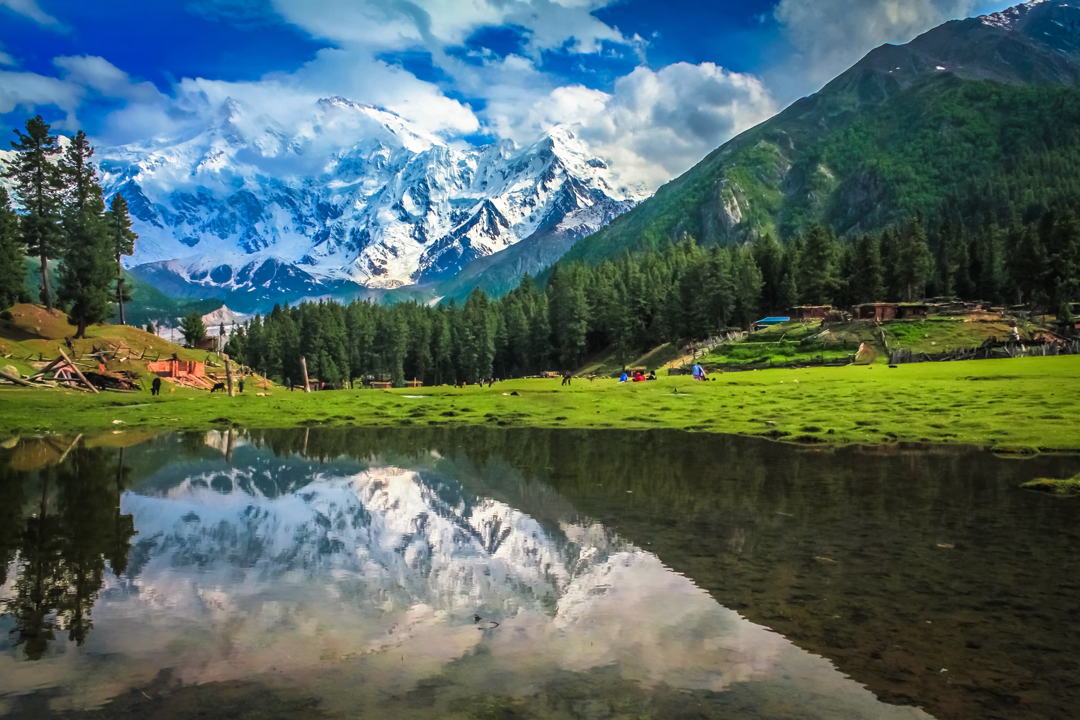 Image of the Fairy Meadows  2