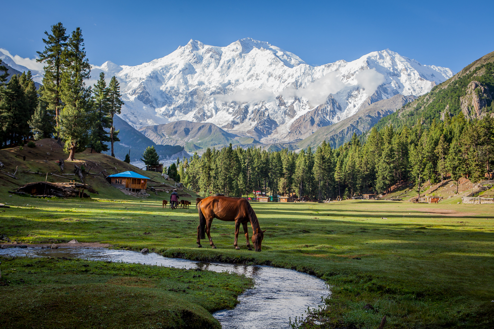 Image of the Fairy Meadows  4