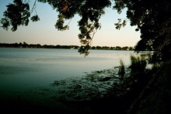 Image of the Haleji Lake  5