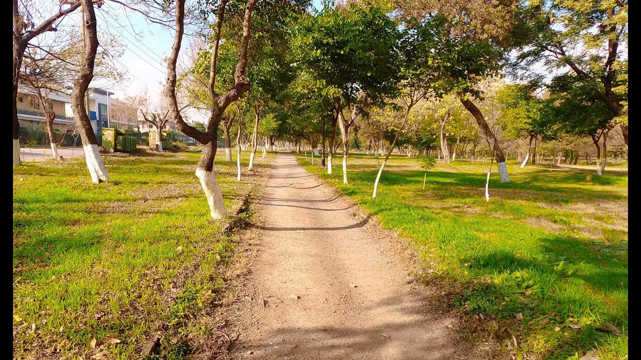 Image of the Kachnar Park  3