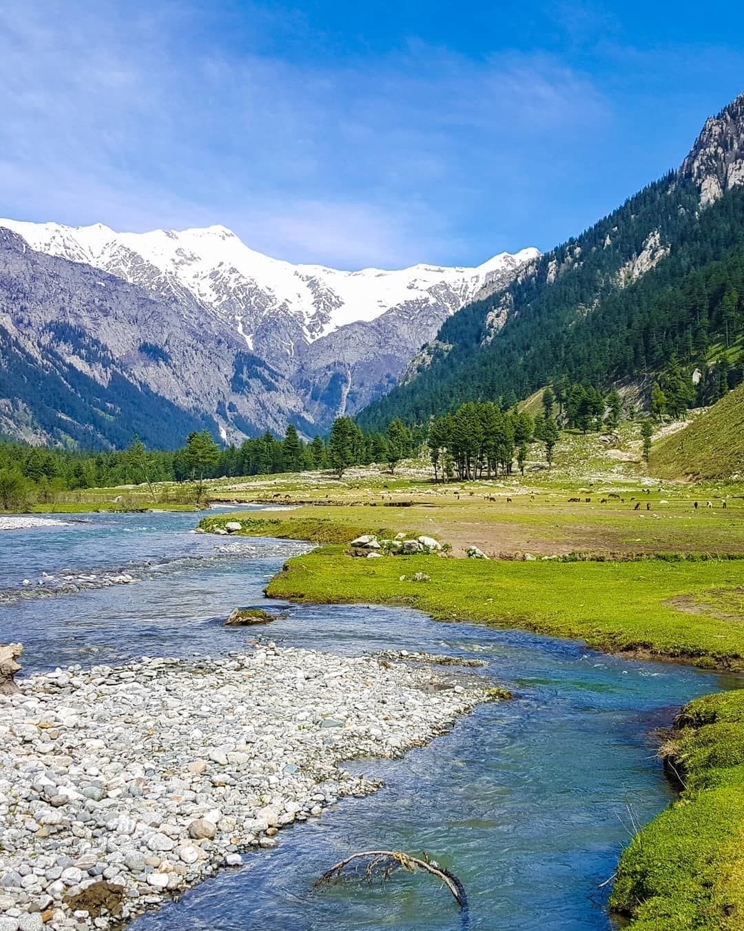 Image of the Kumrat Valley  7