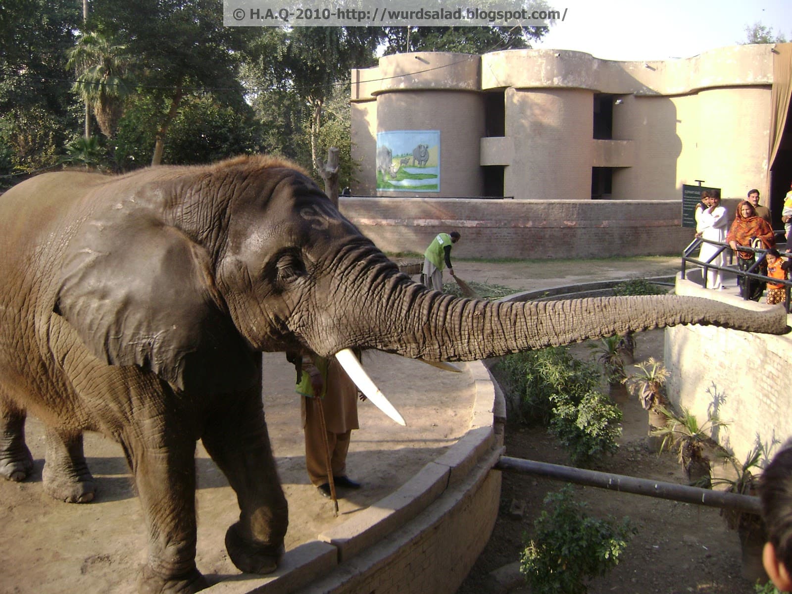 Image of the Lahore Zoo  7