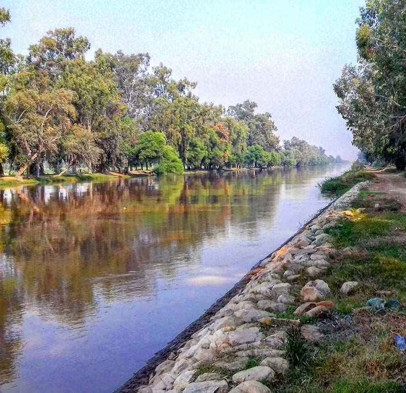 Lal Suhanra National Park