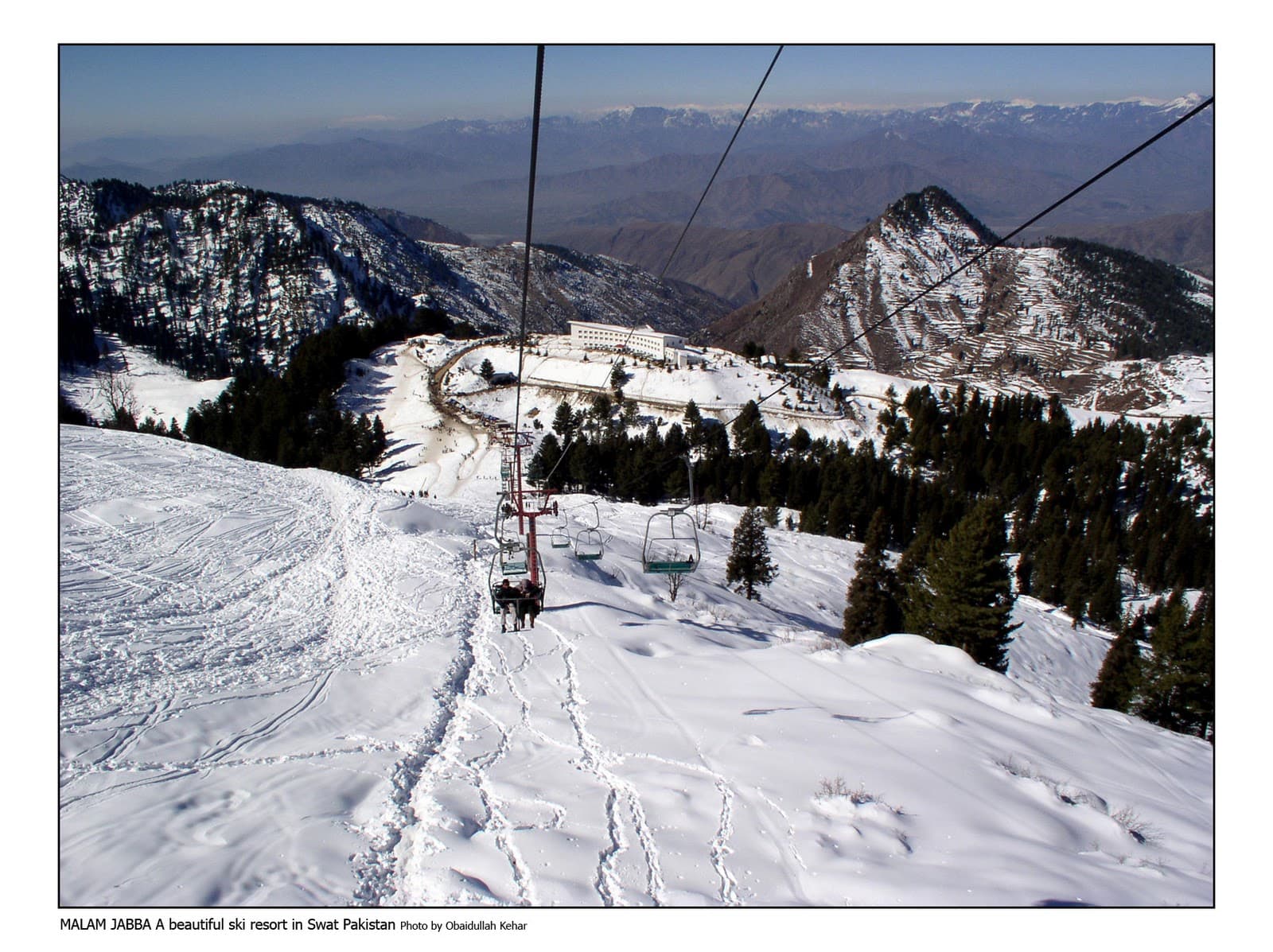 Image of the Malam Jabba  8