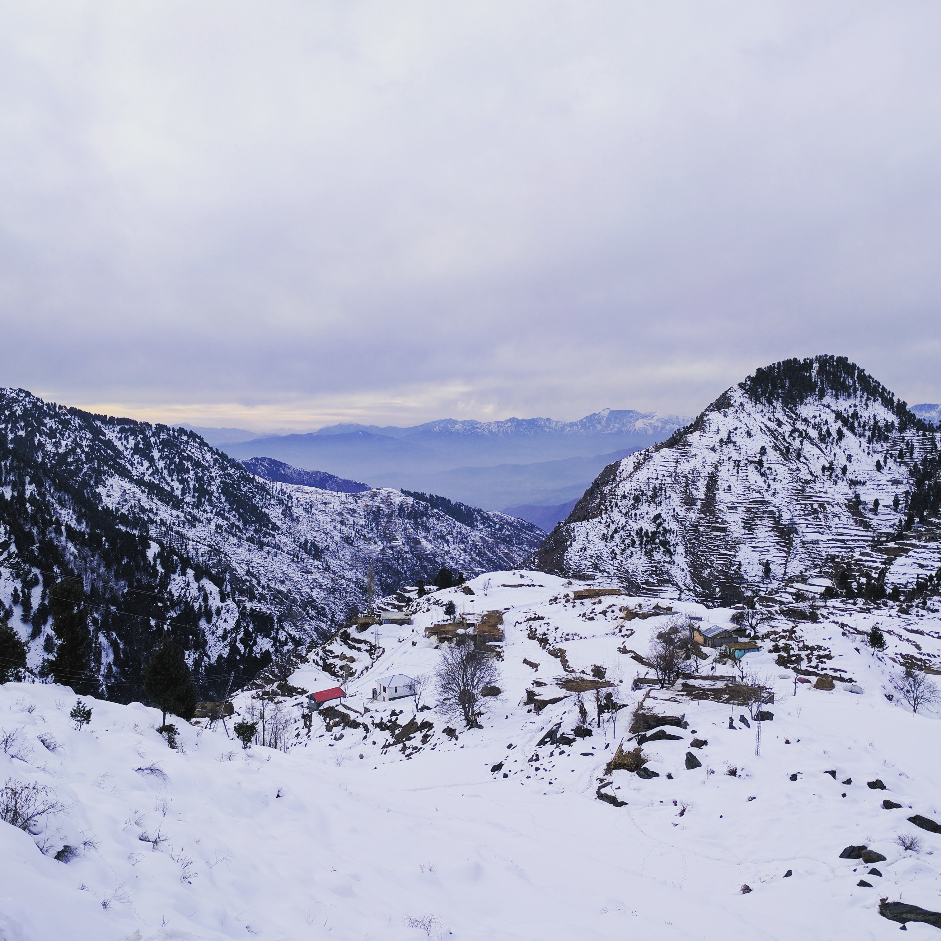 Image of the Malam Jabba  4