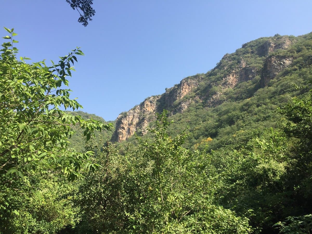 Image of the Margalla Hills  6