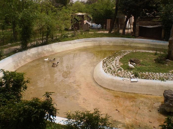 Marghazar Islamabad Zoo