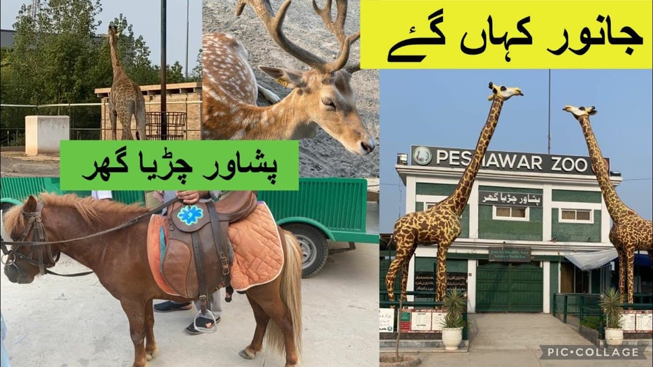 Image of the Peshawar Zoo  9