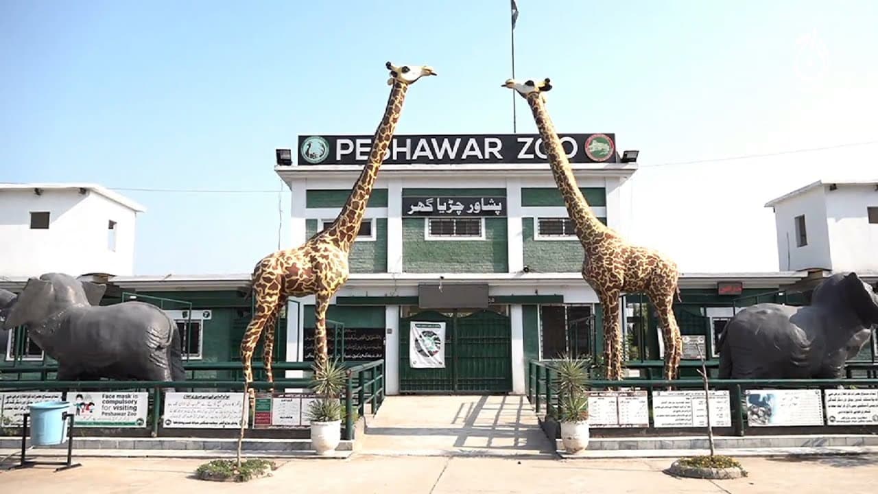 Image of the Peshawar Zoo  5