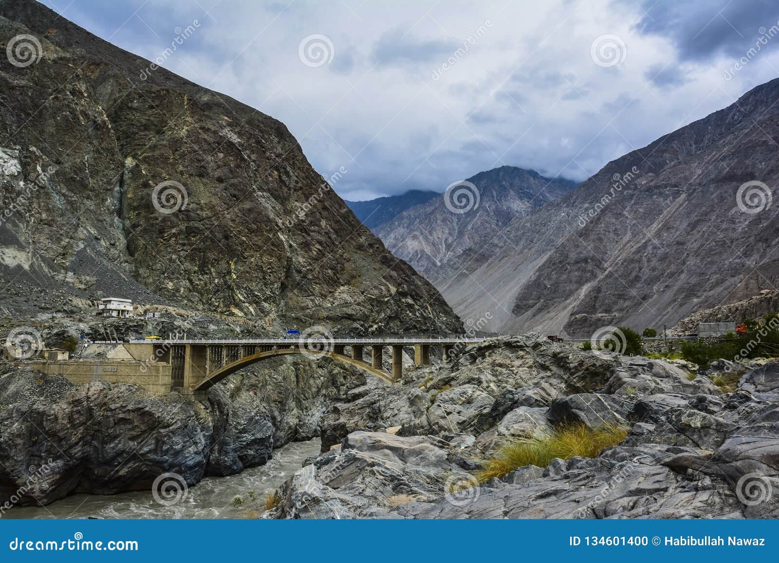 Image of the Raikot Bridge  6