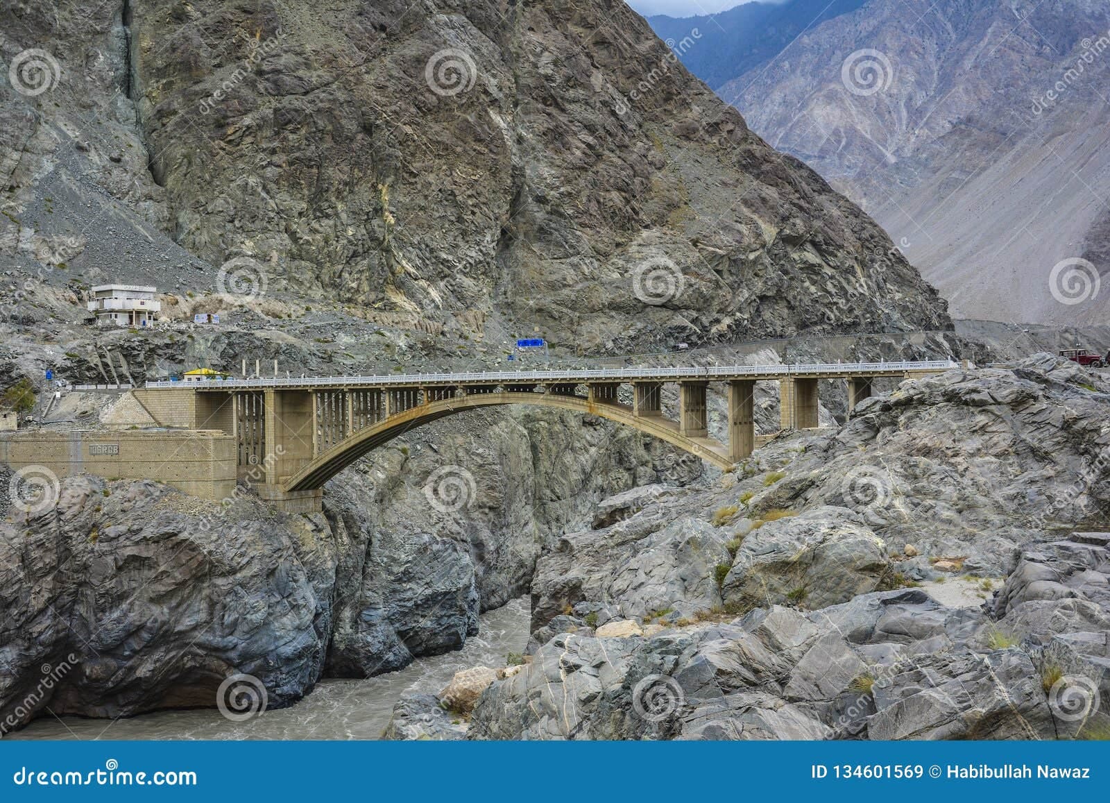 Image of the Raikot Bridge  5