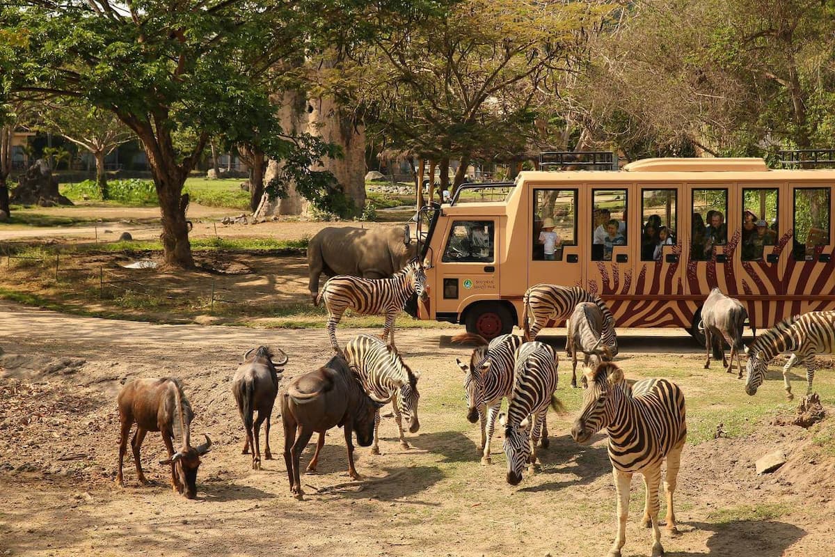 Safari Park