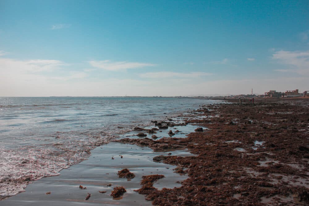 Image of the Sandspit Beach  4