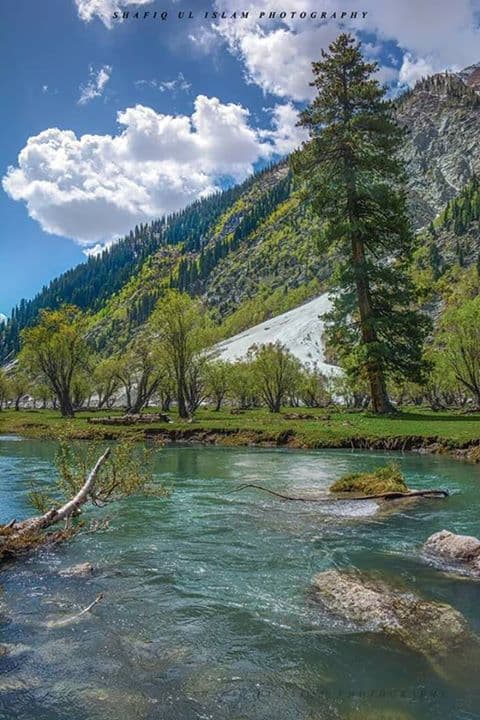 Image of the Shahi Bagh Swat  3